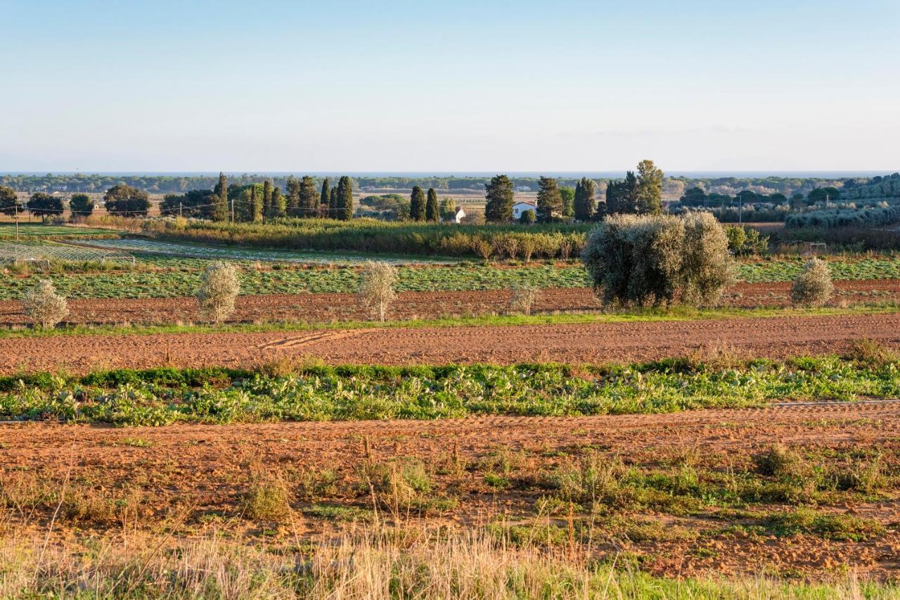 Agriturismo Terre Di Castiglione Кастильоне-делла-Пеская Экстерьер фото