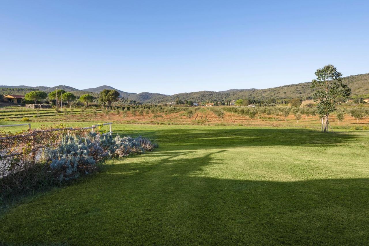 Agriturismo Terre Di Castiglione Кастильоне-делла-Пеская Экстерьер фото