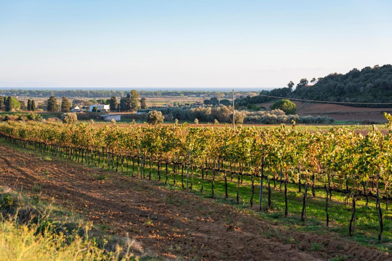 Agriturismo Terre Di Castiglione Кастильоне-делла-Пеская Экстерьер фото