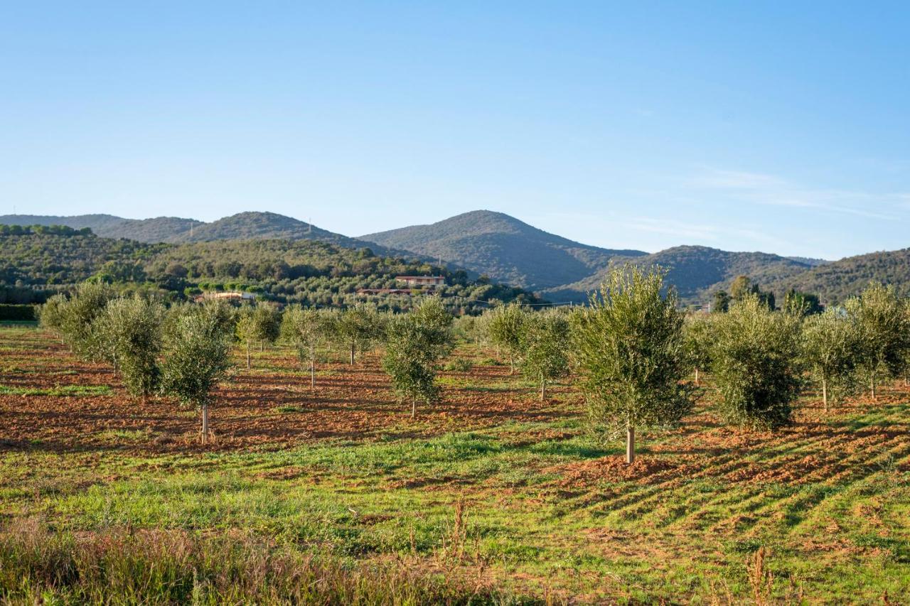 Agriturismo Terre Di Castiglione Кастильоне-делла-Пеская Экстерьер фото